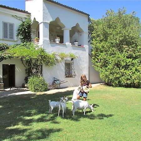 Agriturismo "Borgo Madonna Degli Angeli" - Charming Cottages In The Gardens ! Tocco da Casauria Екстер'єр фото