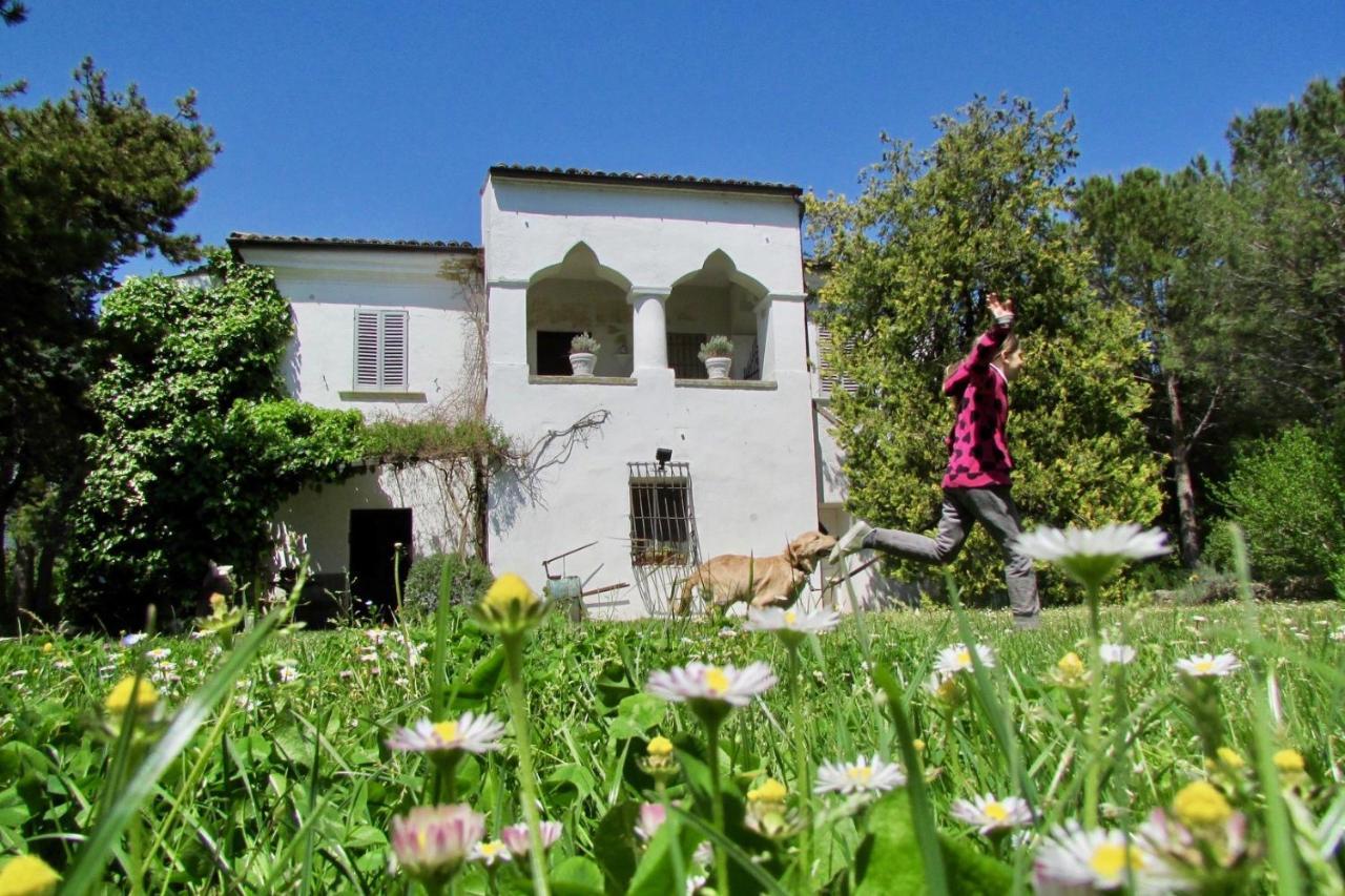 Agriturismo "Borgo Madonna Degli Angeli" - Charming Cottages In The Gardens ! Tocco da Casauria Екстер'єр фото