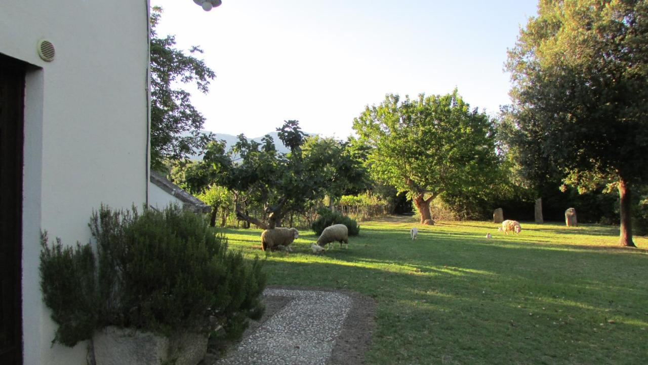 Agriturismo "Borgo Madonna Degli Angeli" - Charming Cottages In The Gardens ! Tocco da Casauria Екстер'єр фото