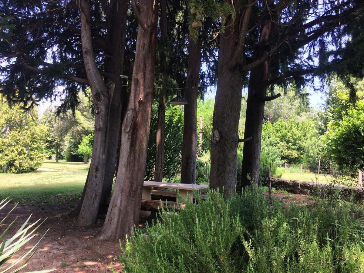 Agriturismo "Borgo Madonna Degli Angeli" - Charming Cottages In The Gardens ! Tocco da Casauria Екстер'єр фото