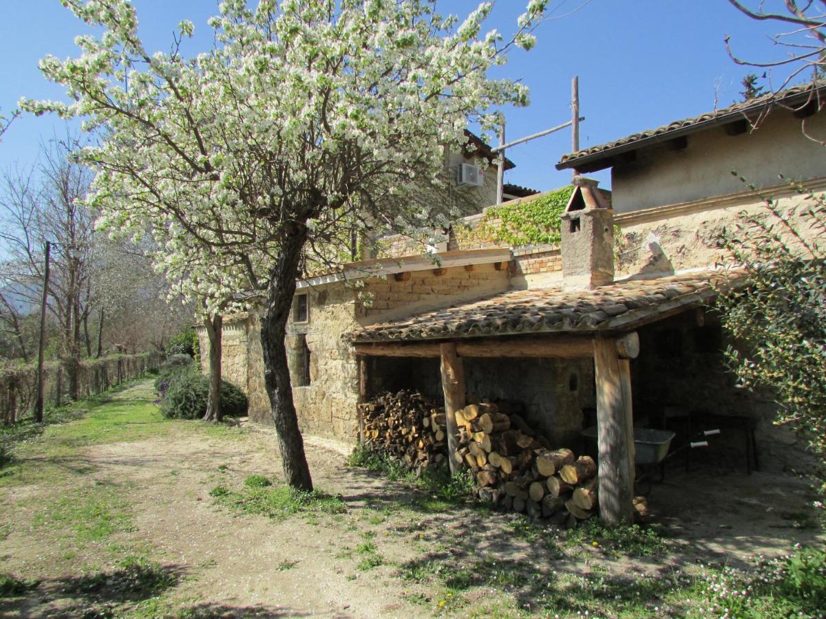 Agriturismo "Borgo Madonna Degli Angeli" - Charming Cottages In The Gardens ! Tocco da Casauria Екстер'єр фото