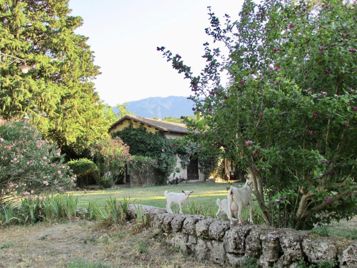 Agriturismo "Borgo Madonna Degli Angeli" - Charming Cottages In The Gardens ! Tocco da Casauria Екстер'єр фото