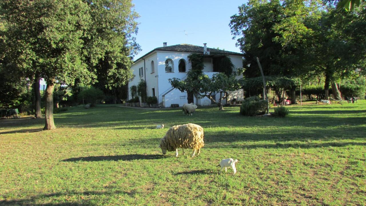 Agriturismo "Borgo Madonna Degli Angeli" - Charming Cottages In The Gardens ! Tocco da Casauria Екстер'єр фото