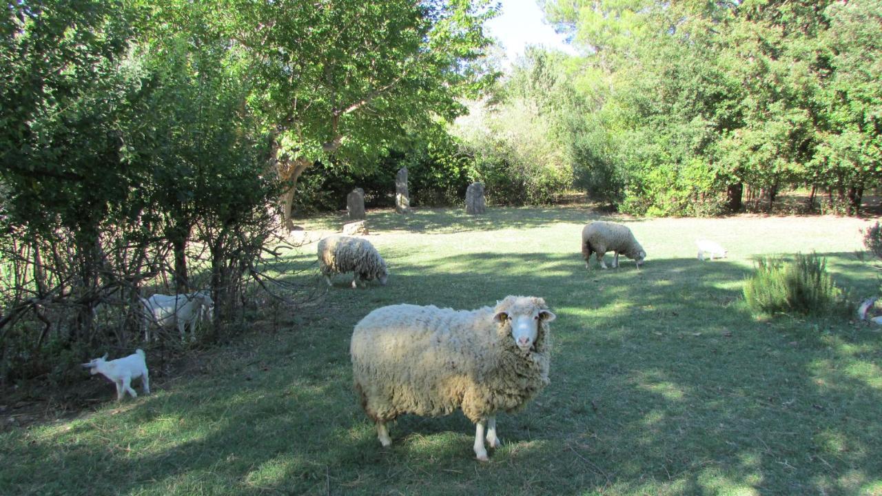 Agriturismo "Borgo Madonna Degli Angeli" - Charming Cottages In The Gardens ! Tocco da Casauria Екстер'єр фото