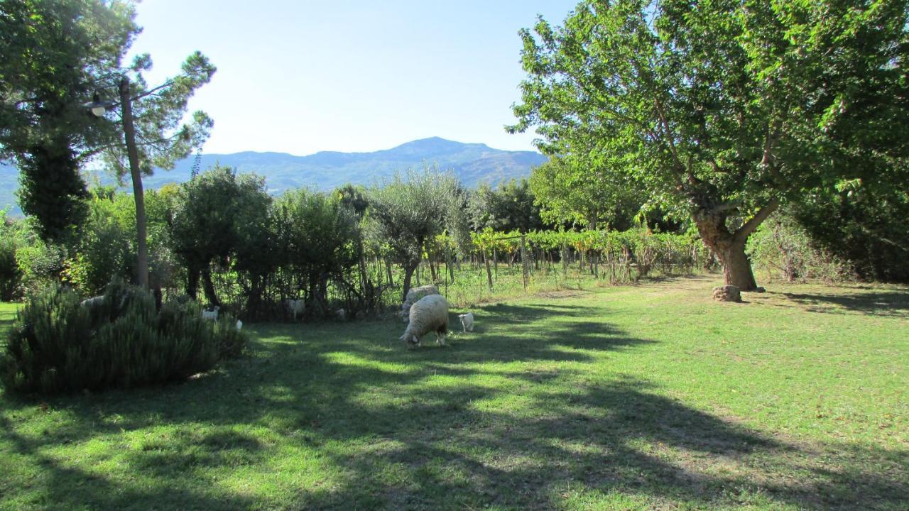 Agriturismo "Borgo Madonna Degli Angeli" - Charming Cottages In The Gardens ! Tocco da Casauria Екстер'єр фото