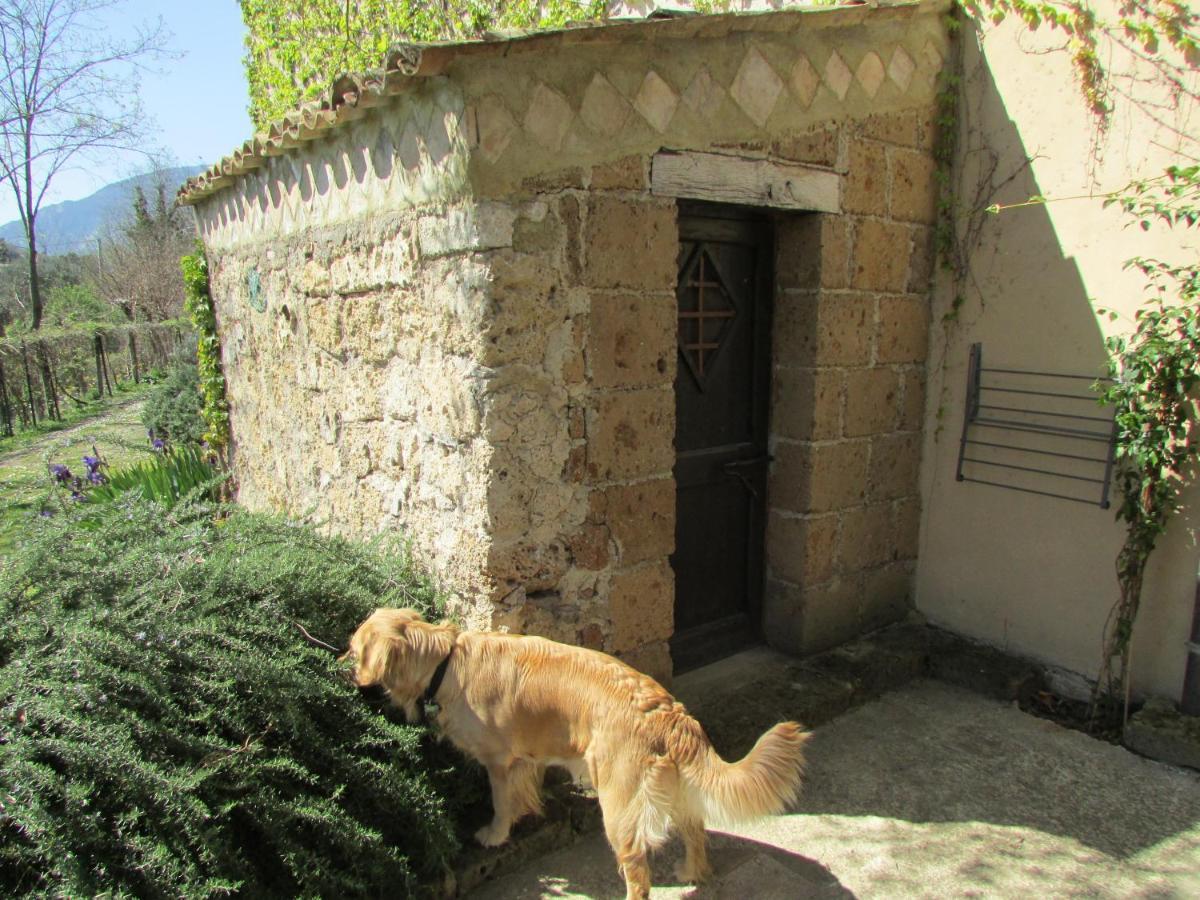 Agriturismo "Borgo Madonna Degli Angeli" - Charming Cottages In The Gardens ! Tocco da Casauria Екстер'єр фото