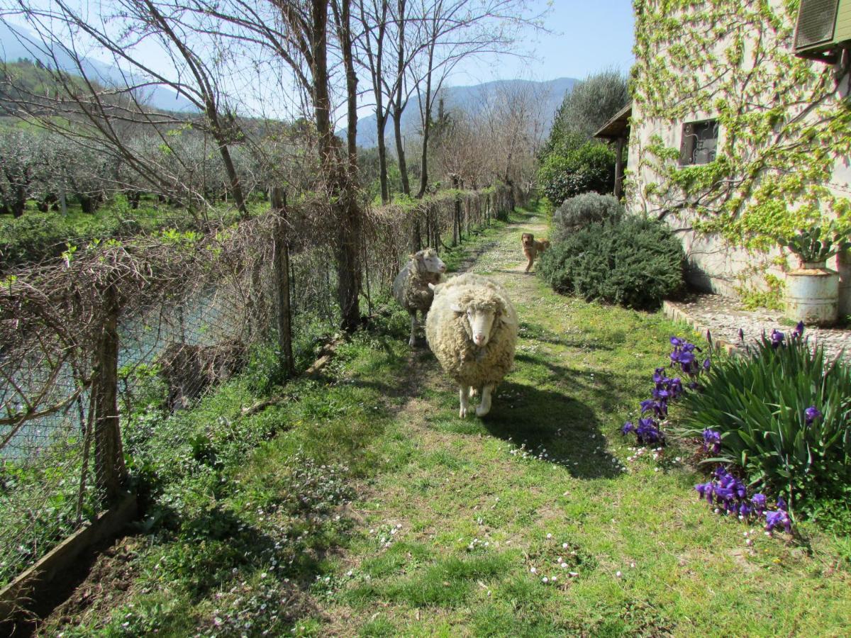 Agriturismo "Borgo Madonna Degli Angeli" - Charming Cottages In The Gardens ! Tocco da Casauria Екстер'єр фото