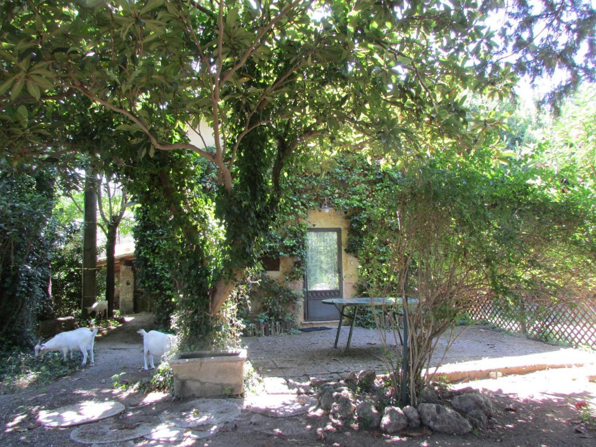 Agriturismo "Borgo Madonna Degli Angeli" - Charming Cottages In The Gardens ! Tocco da Casauria Екстер'єр фото