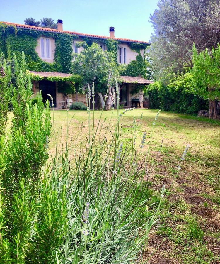 Agriturismo "Borgo Madonna Degli Angeli" - Charming Cottages In The Gardens ! Tocco da Casauria Екстер'єр фото