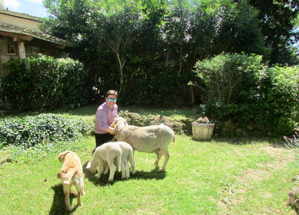 Agriturismo "Borgo Madonna Degli Angeli" - Charming Cottages In The Gardens ! Tocco da Casauria Екстер'єр фото