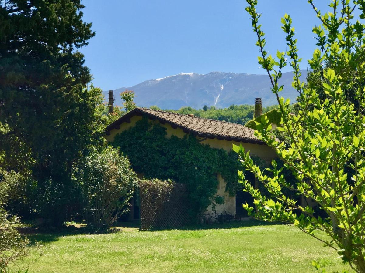 Agriturismo "Borgo Madonna Degli Angeli" - Charming Cottages In The Gardens ! Tocco da Casauria Екстер'єр фото