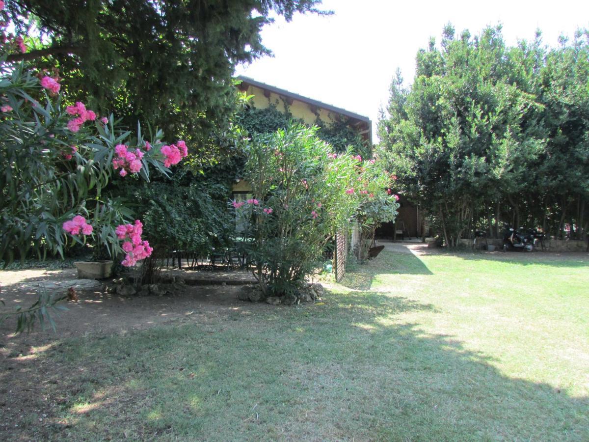 Agriturismo "Borgo Madonna Degli Angeli" - Charming Cottages In The Gardens ! Tocco da Casauria Екстер'єр фото