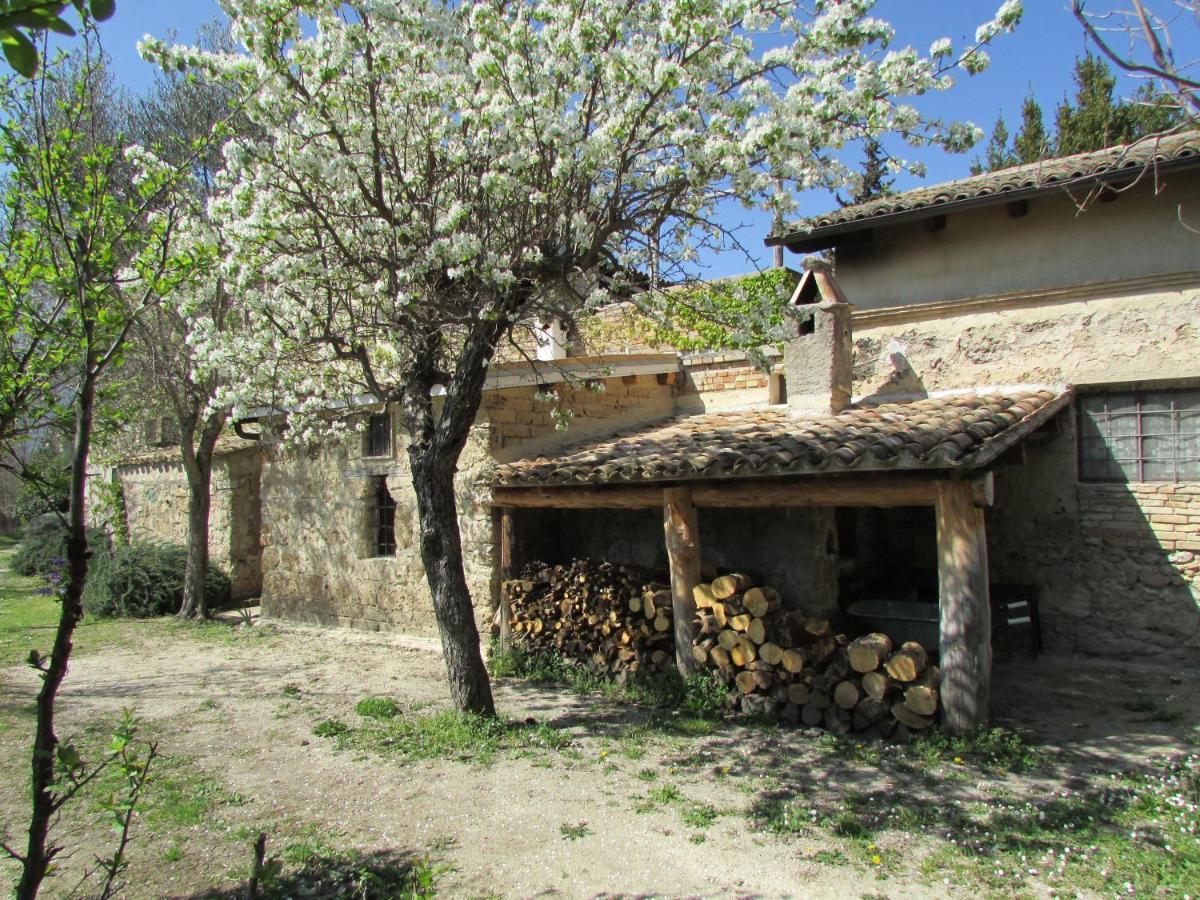 Agriturismo "Borgo Madonna Degli Angeli" - Charming Cottages In The Gardens ! Tocco da Casauria Екстер'єр фото
