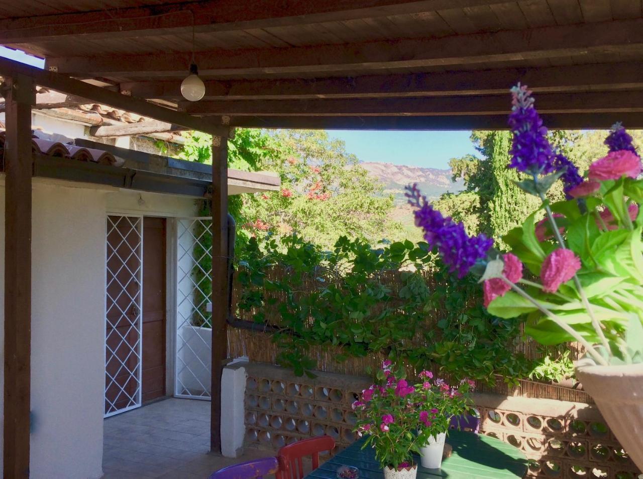 Agriturismo "Borgo Madonna Degli Angeli" - Charming Cottages In The Gardens ! Tocco da Casauria Екстер'єр фото